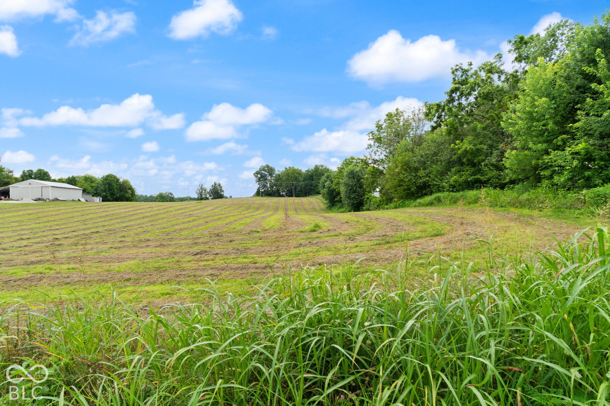 0 Shiloh Road Tract #1, Corydon, IN, 47112 photo 5 of 16