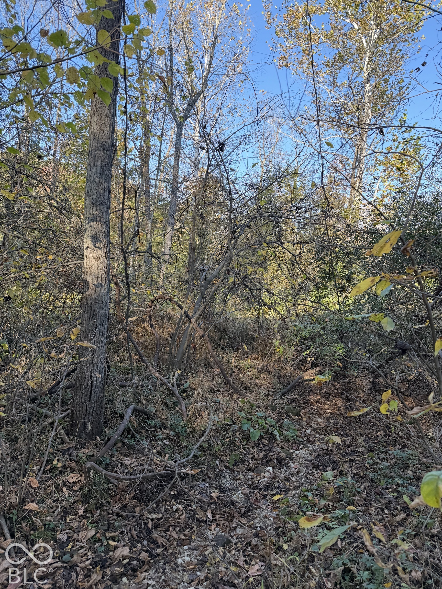 000 Henderson Lane, Nashville, IN, 47448 photo 5 of 11
