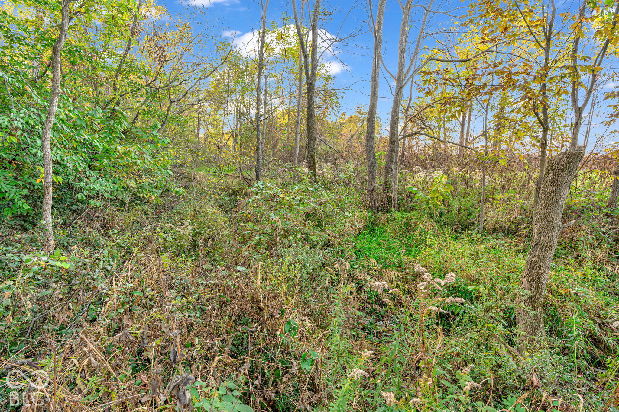 Lot 1 E Co Rd 500 S, Fillmore, IN, 46128 photo 5 of 13