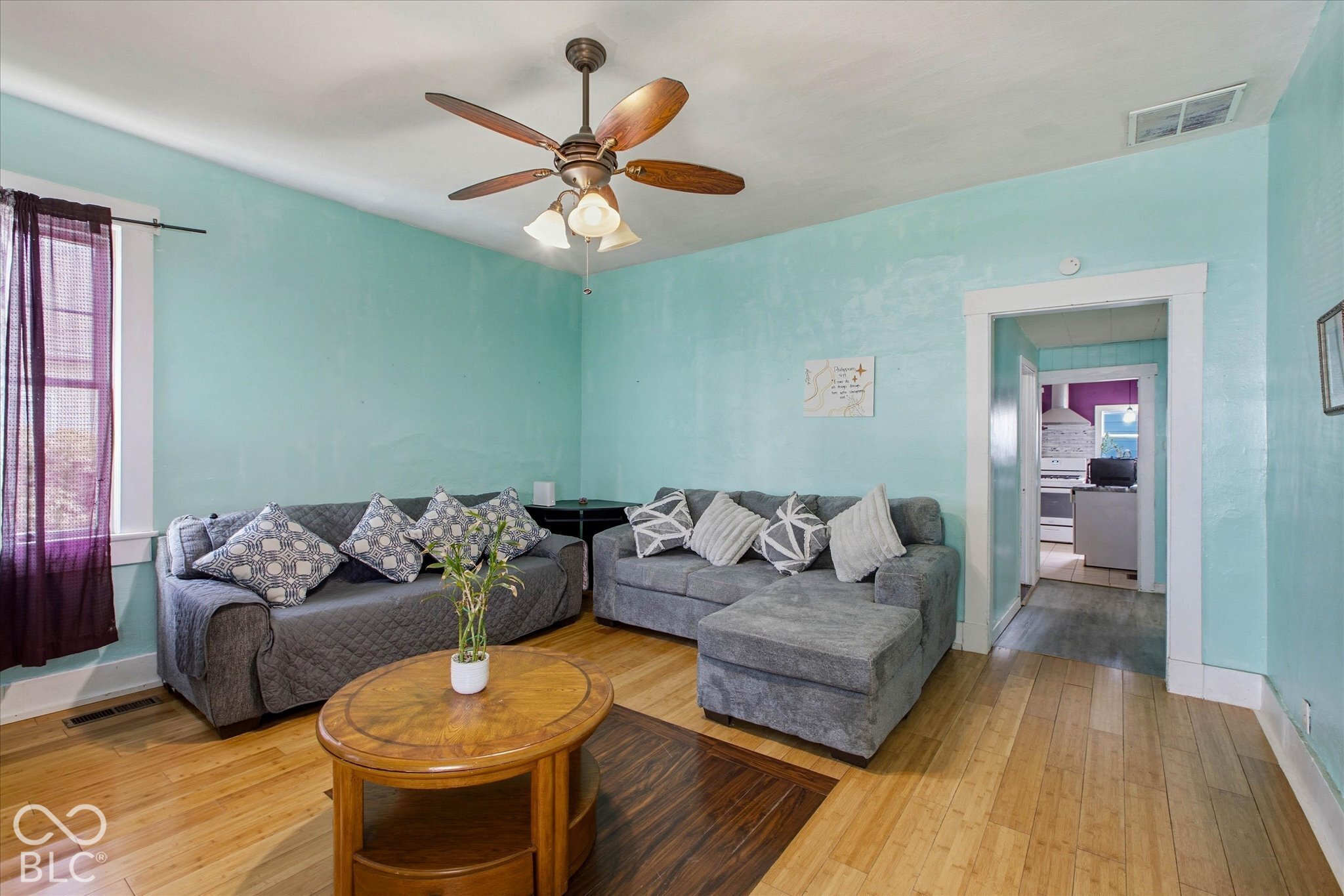 323 E Franklin Street, Shelbyville, IN, 46176 photo 5 of 22